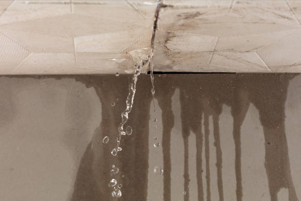 Professional Structural Drying technician working in Oxford, GA